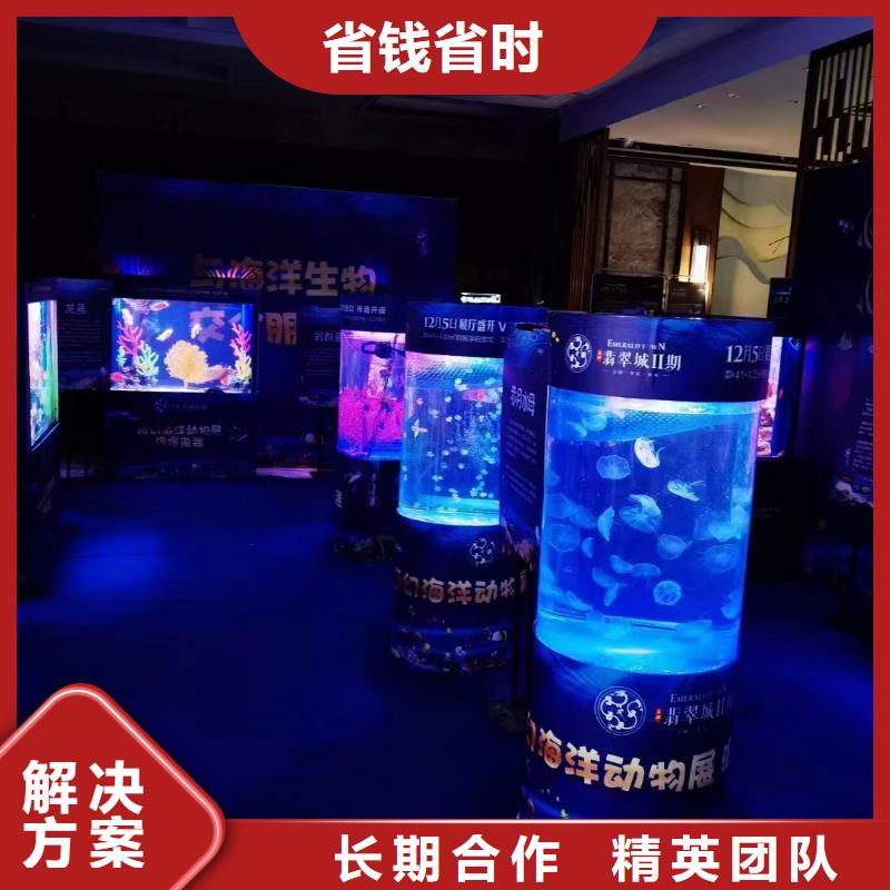 海洋主题动物表演_【小马戏表演出租】诚实守信