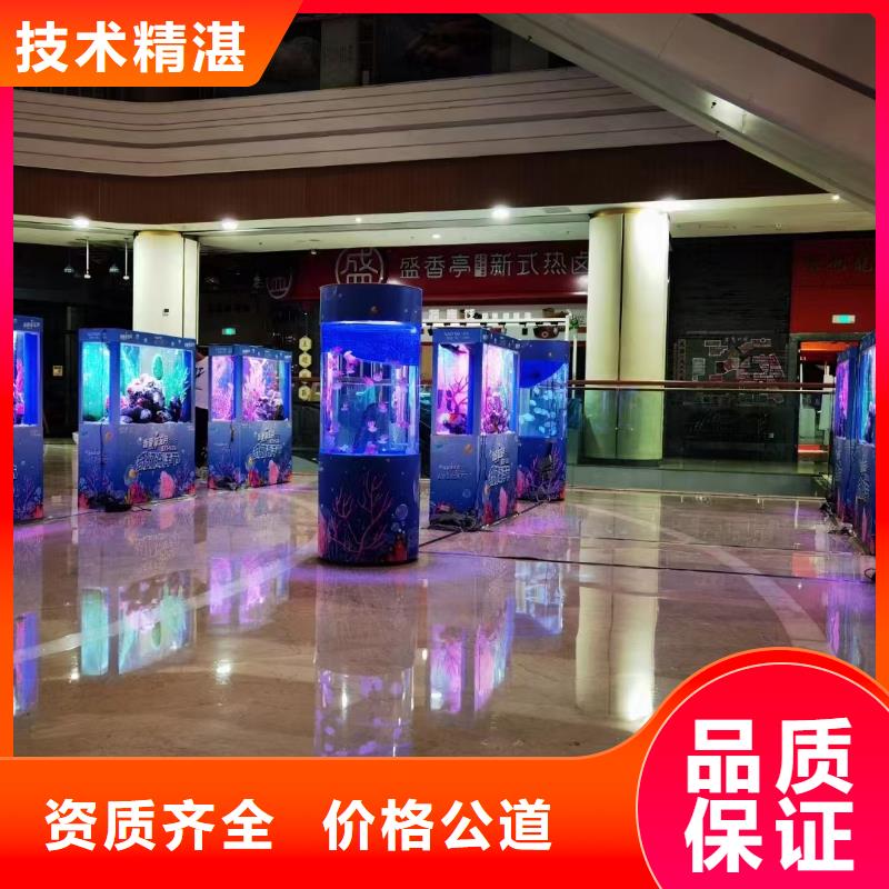 海洋主题动物表演观赏性羊驼租赁多年行业经验