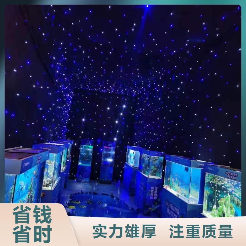海洋主题动物表演出租马戏表演实力公司