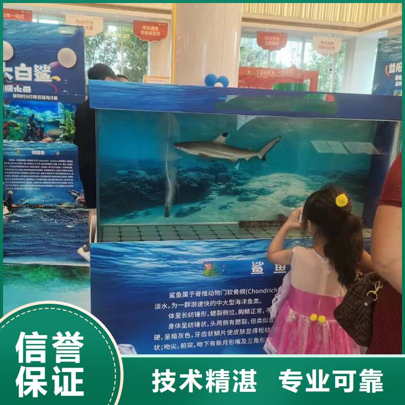 海洋主题动物表演【马戏团表演出租租赁】售后保障