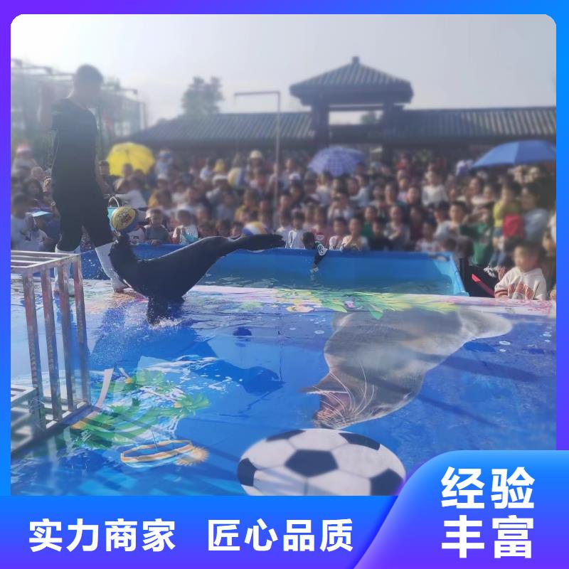 【海洋主题动物表演】,羊驼表演方便快捷