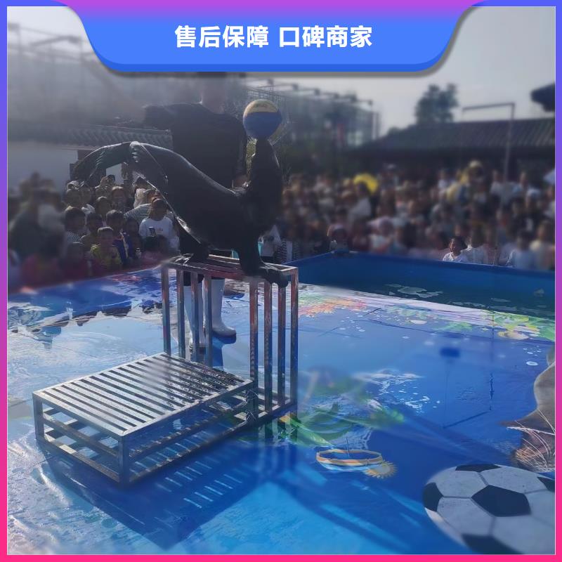海洋主题动物表演吉祥百鸟展质优价廉