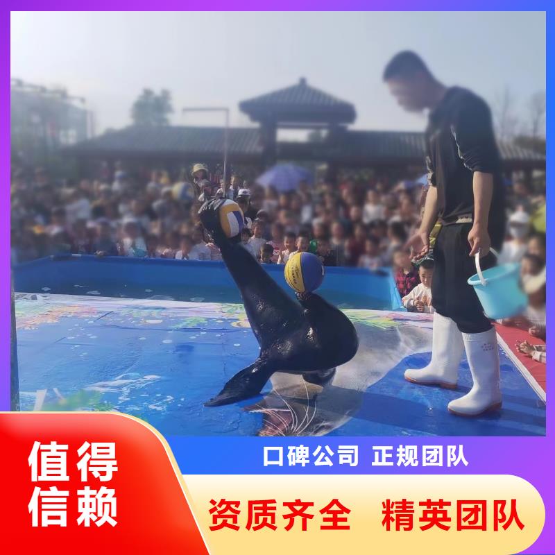 海洋主题动物表演海狮表演出租价格低于同行