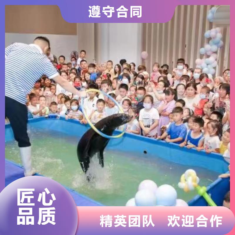 海洋主题动物表演_海洋展租赁信誉良好