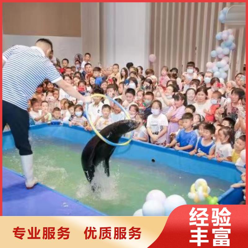 海洋主题动物表演小马戏出租高性价比