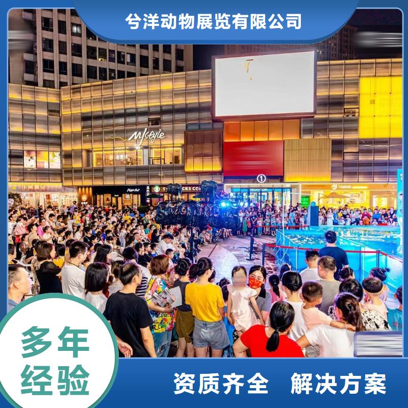 海洋主题动物表演马戏团表演出租租赁先进的技术