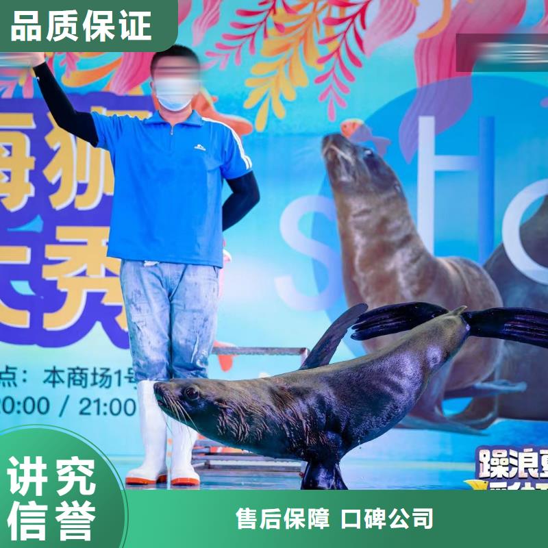 【海洋主题动物表演】杂技表演高性价比