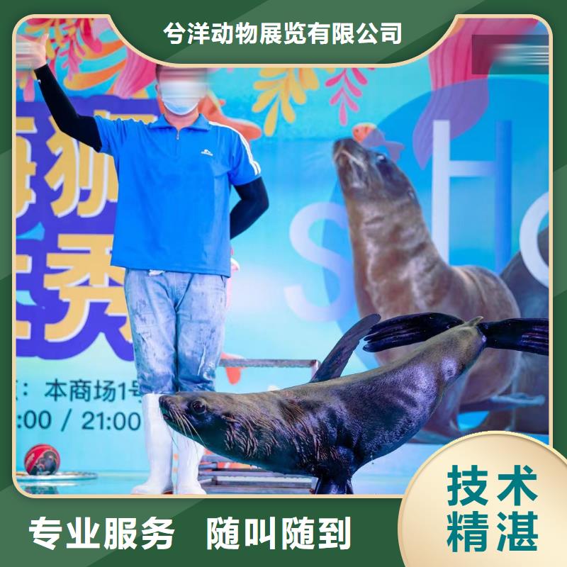 海洋主题动物表演萌宠动物展出租实力公司
