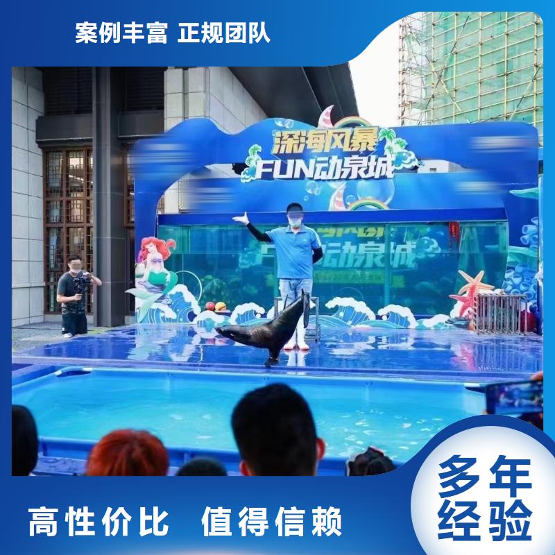 海洋主题动物表演环球飞车表演出租快速响应