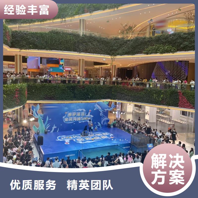【海洋主题动物表演】-出租羊驼品质保证