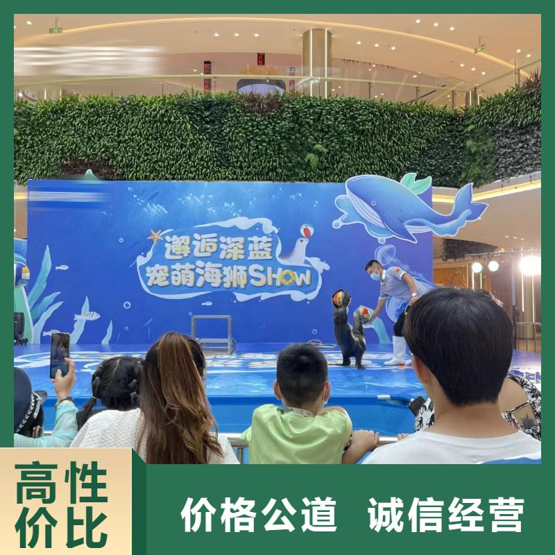 海洋主题动物表演驯兽表演靠谱商家