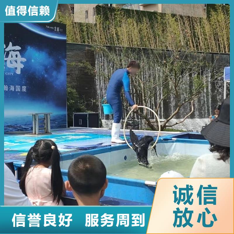 海洋主题动物表演美人鱼表演出租欢迎询价
