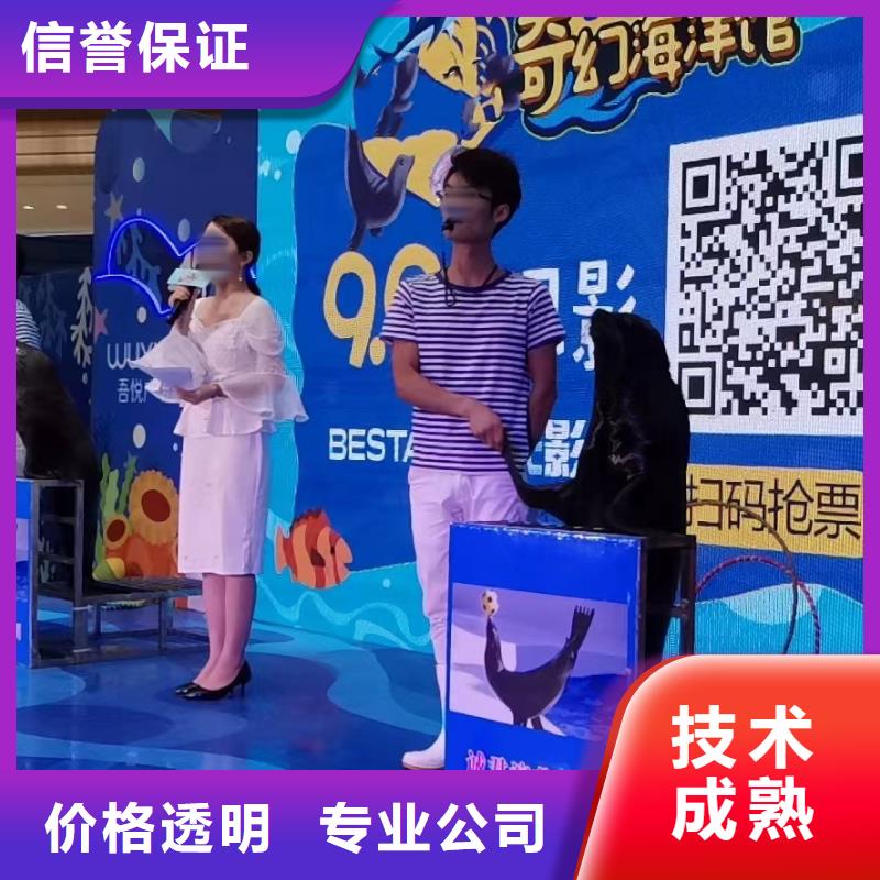 【海洋主题动物表演-商场马戏表演出租正规】