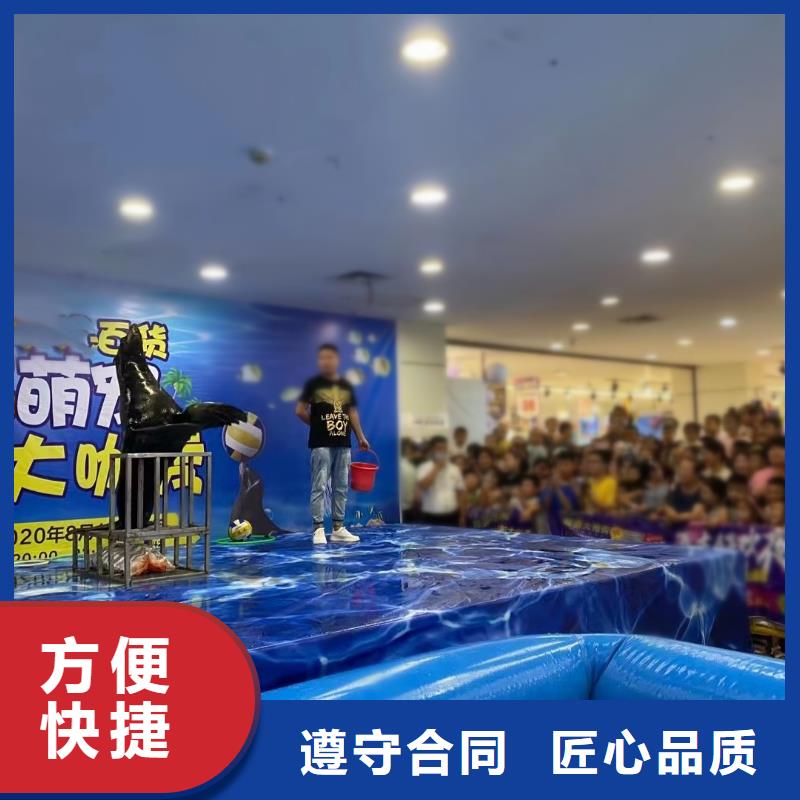 【海洋主题动物表演马戏团表演出租租赁比同行便宜】