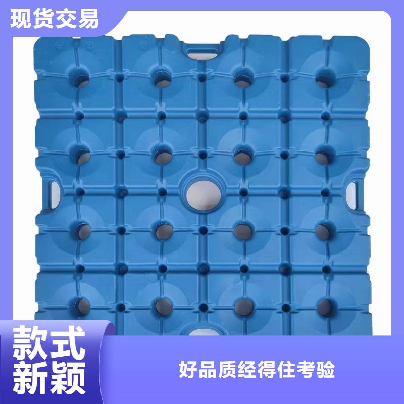 塑料托盘仓储塑料托盘定金锁价