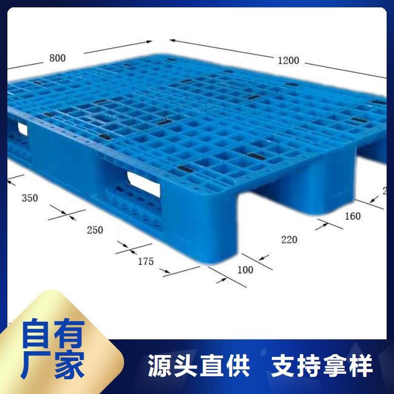 塑料托盘一手货源源头厂家