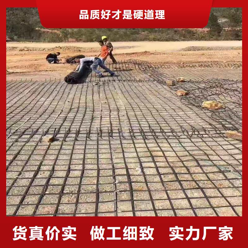 土工格栅-三维植被网厂家货源