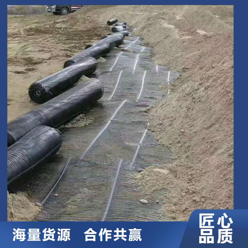 土工格栅\抗裂贴,塑料土工格栅质量优选