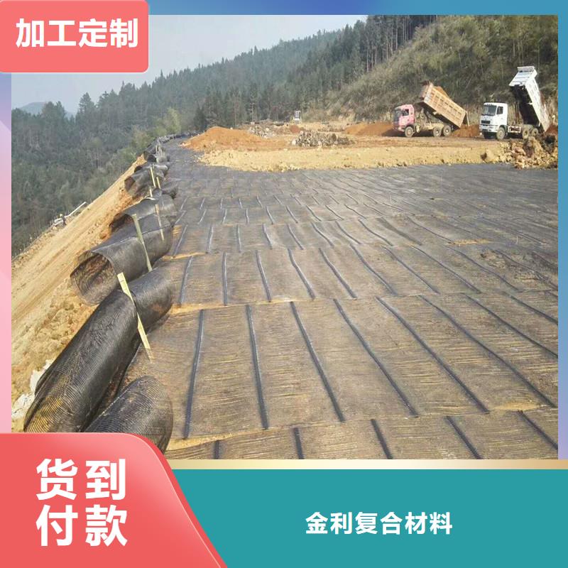 土工格栅\抗裂贴,双向土工格栅价格实惠工厂直供