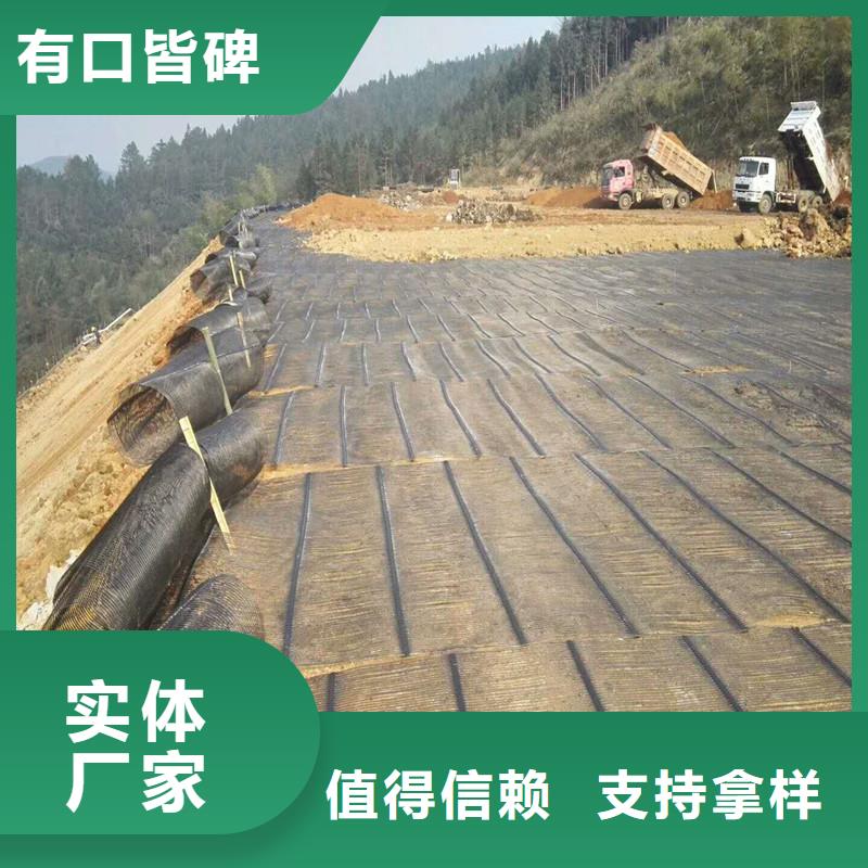 土工格栅\抗裂贴【聚酯布】的图文介绍
