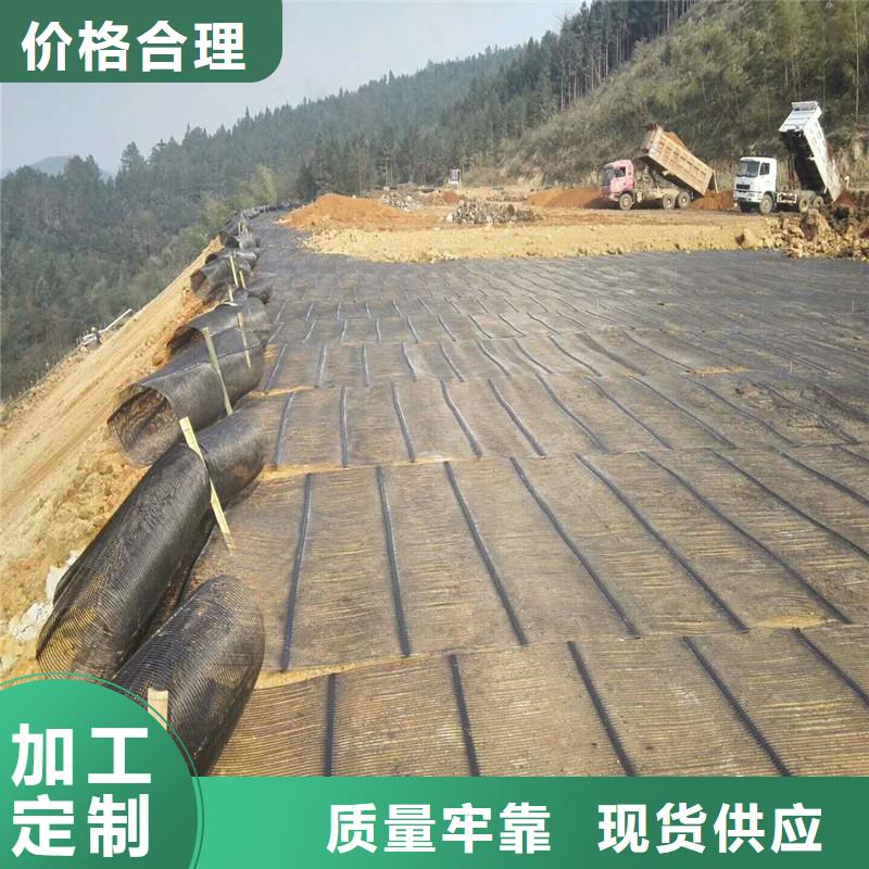 土工格栅\抗裂贴【生态带】工艺成熟