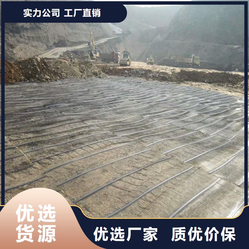 【土工格栅\抗裂贴】,钢塑土工格栅厂家直营