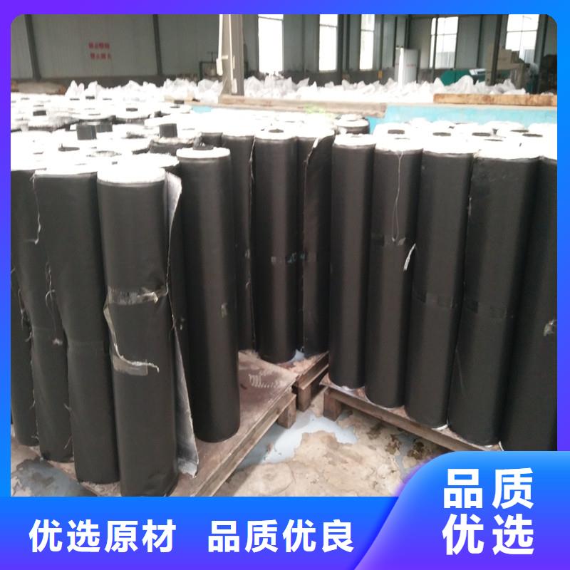 土工格栅\抗裂贴双向塑料土工格栅严格把控质量