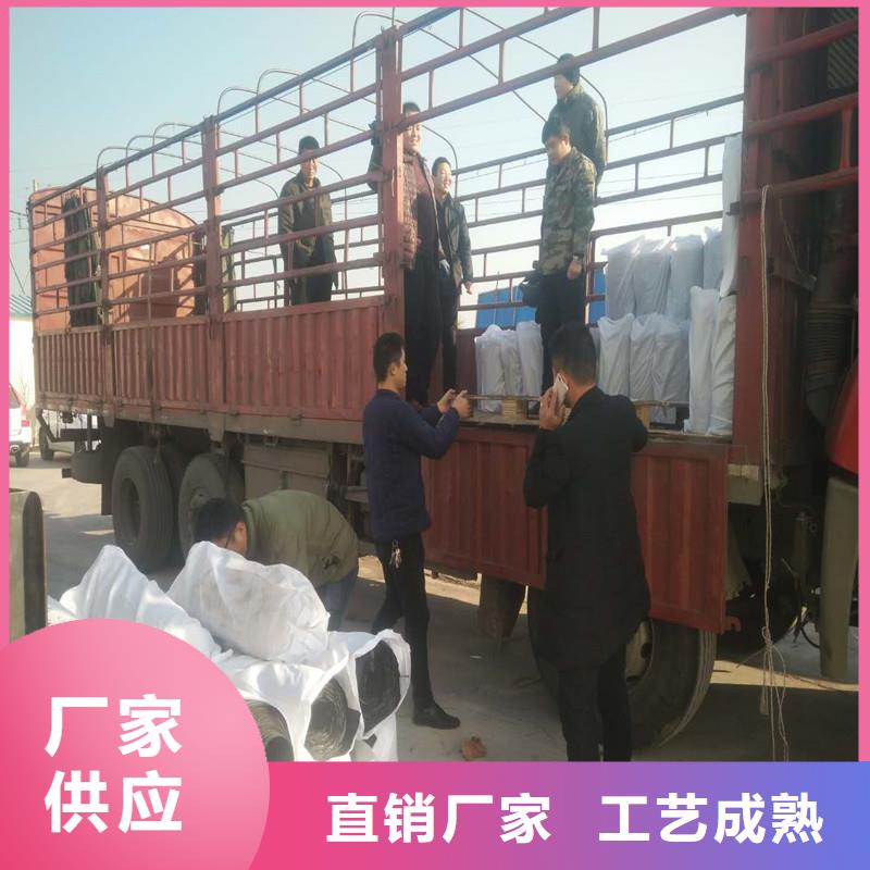 钢塑土工格栅厂家供应
