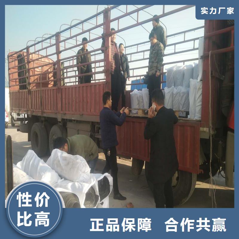 土工格栅\抗裂贴,土工网多行业适用