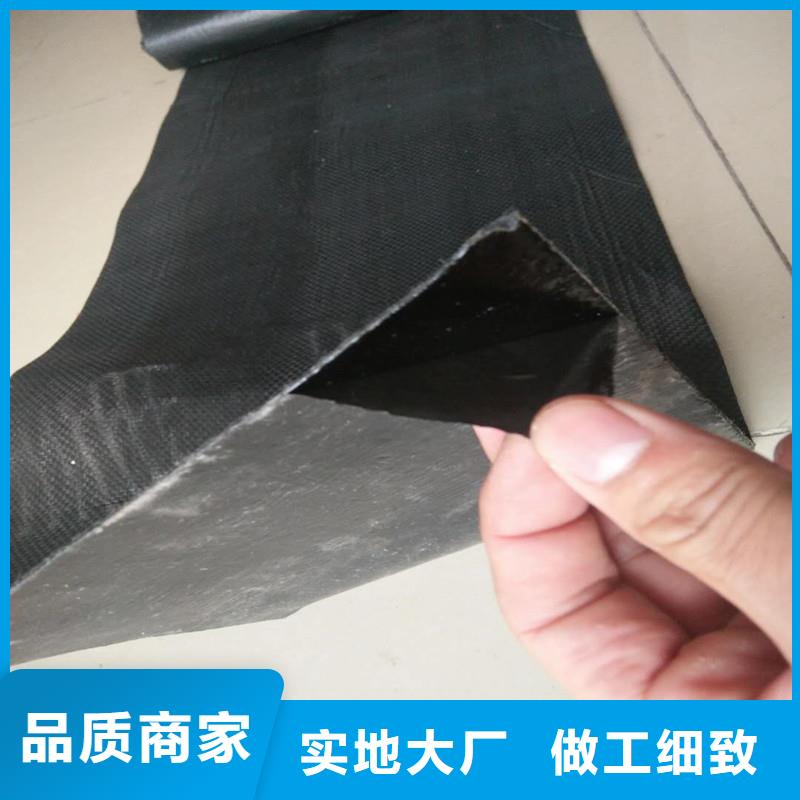 土工格栅\抗裂贴,双向土工格栅价格实惠工厂直供
