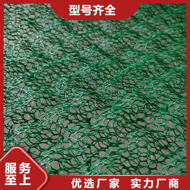 土工布车库顶板排水板厂诚信经营
