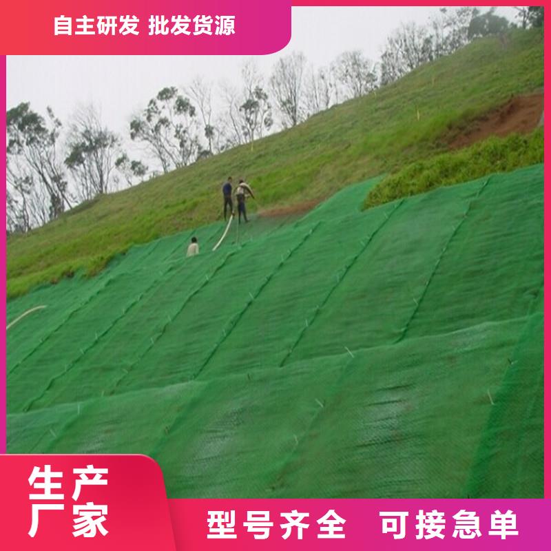 土工布土工格栅高质量高信誉