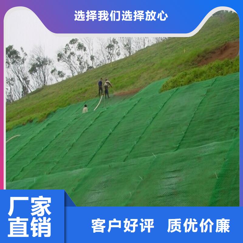 土工布土工网垫现货满足大量采购