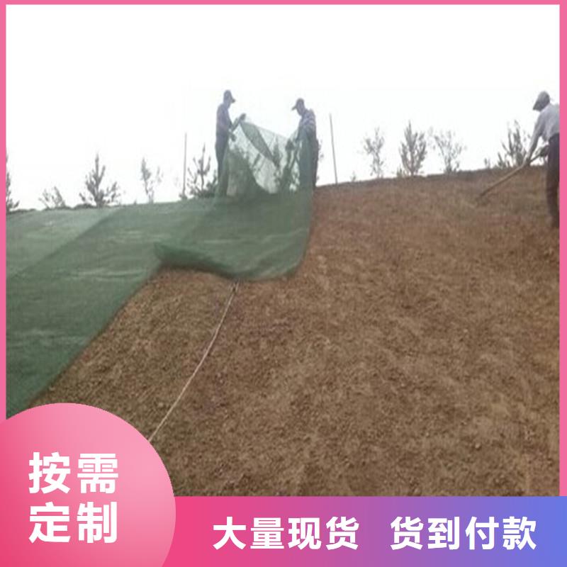 【土工布波纹管支持货到付清】