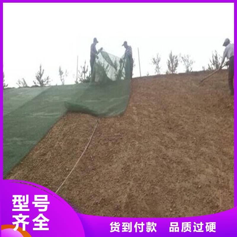土工布钢塑土工格栅定制不额外收费