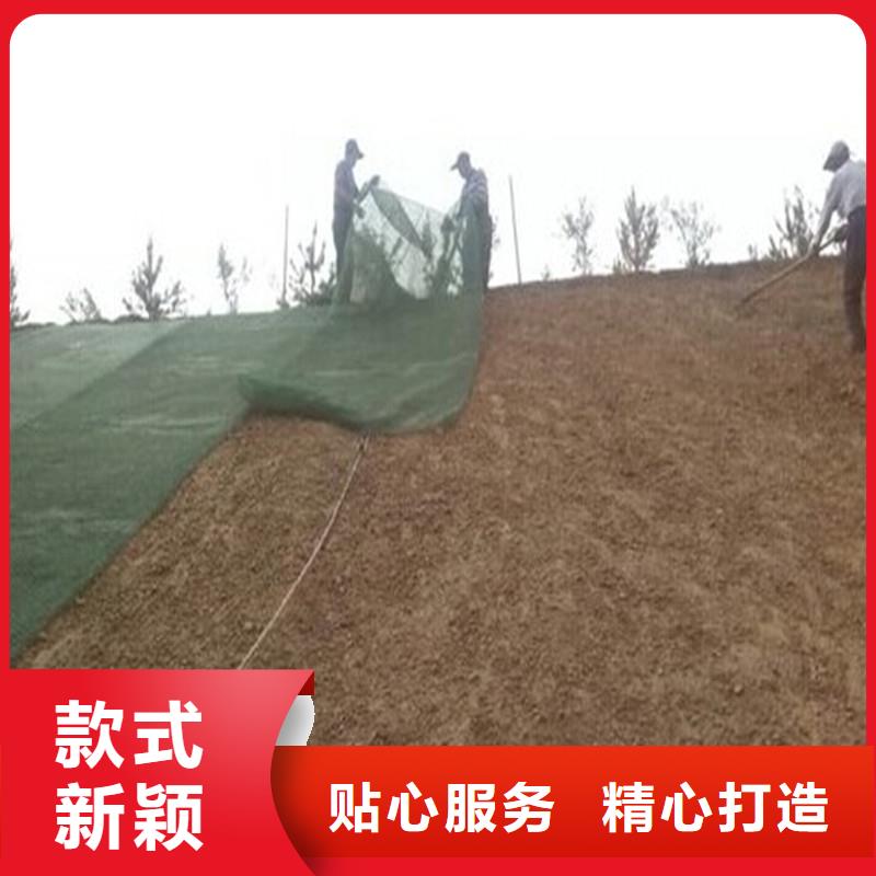 土工布橡胶支座产地采购