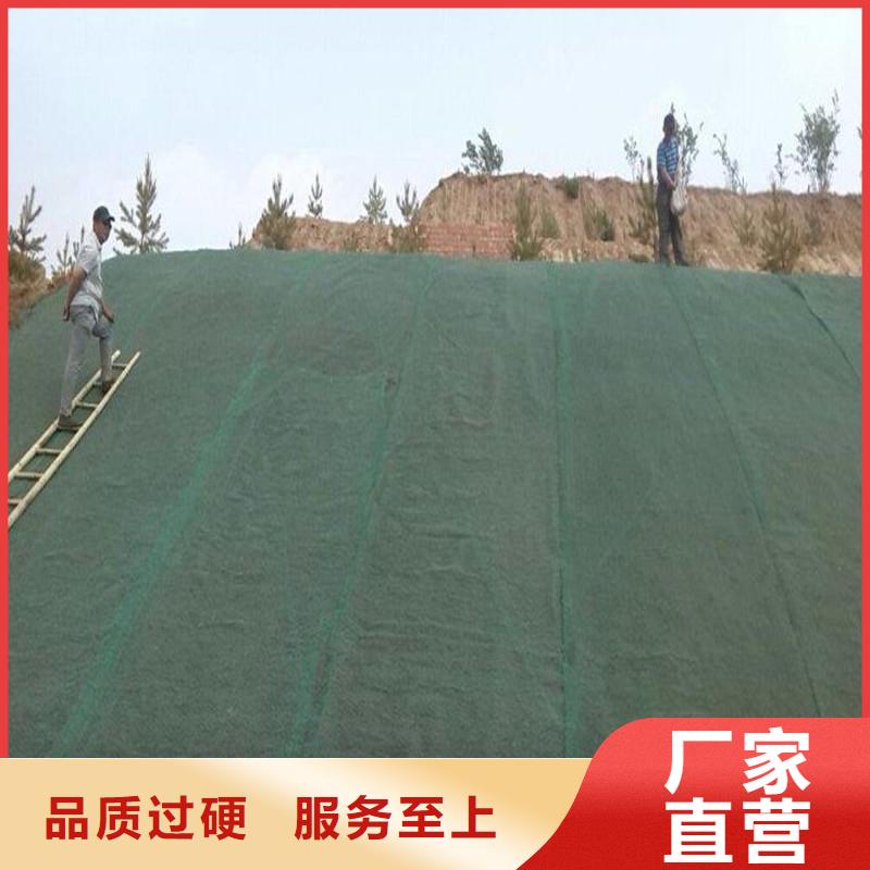 土工布_80KN玻纤格栅快速物流发货