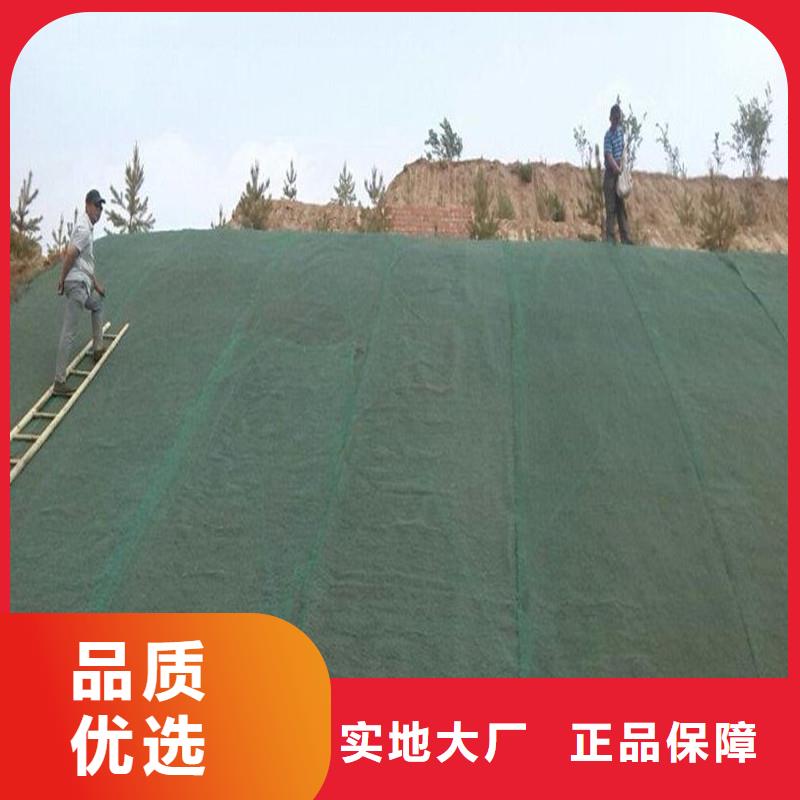 土工布土工格栅高质量高信誉