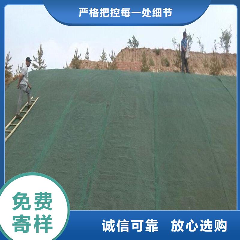 土工布双向塑料土工格栅厂家直销值得选择
