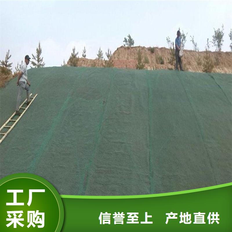 土工布_塑料玻纤格栅我们更专业