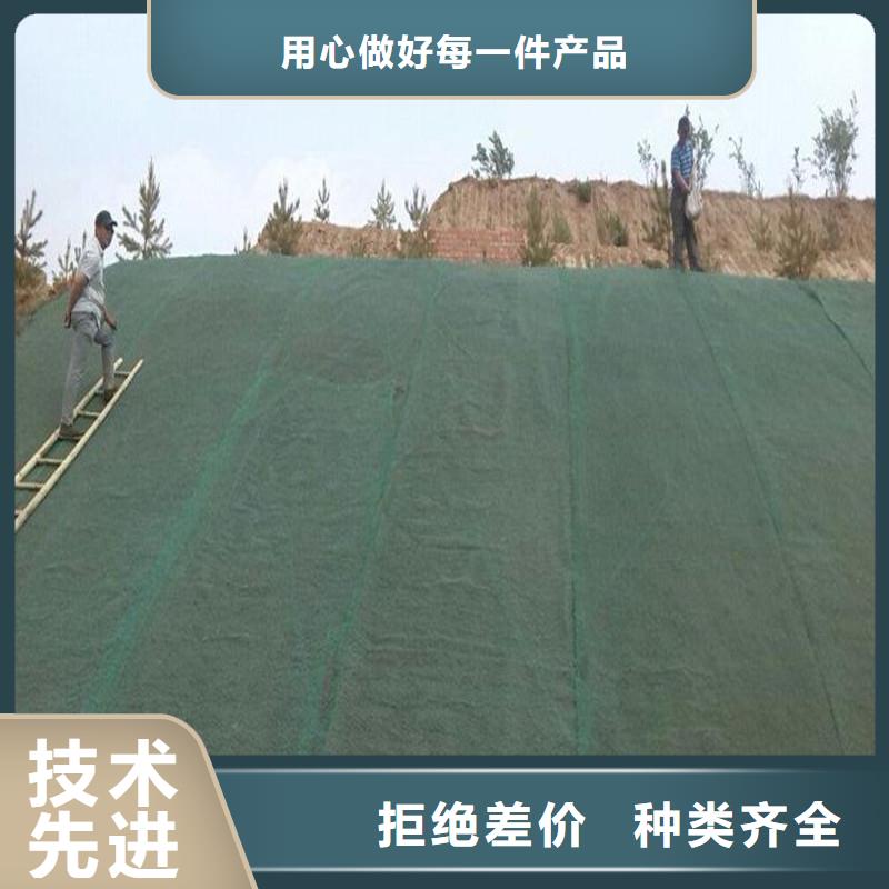 土工布钢塑土工格栅定制不额外收费