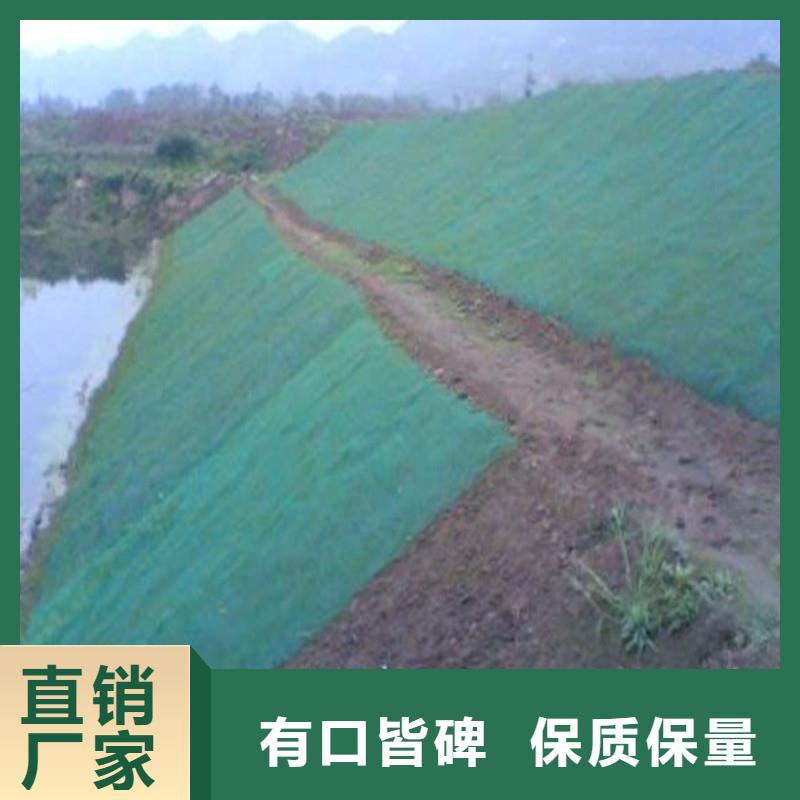 土工布双向塑料土工格栅专业生产N年
