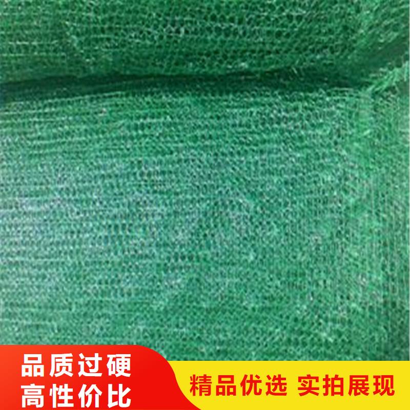 【土工布】车库顶板排水板正规厂家