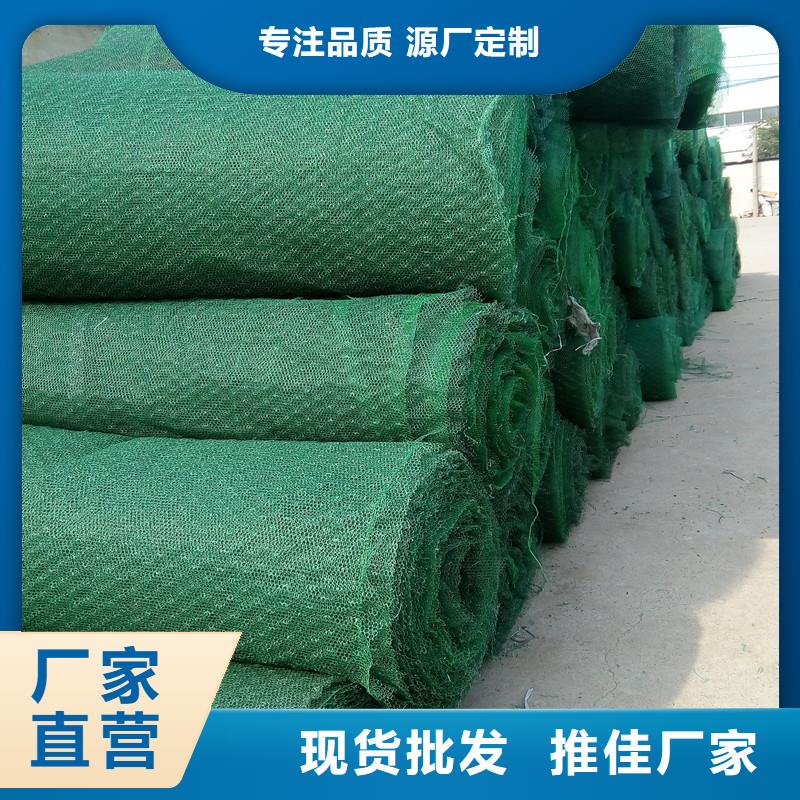 土工布双向塑料土工格栅海量现货