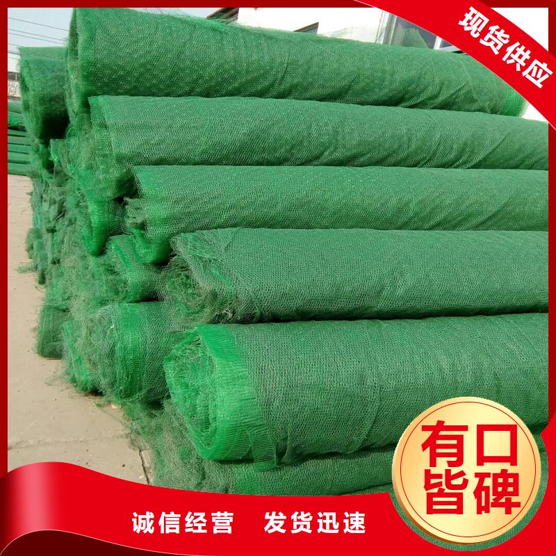 【土工布】三维植被网常年出售