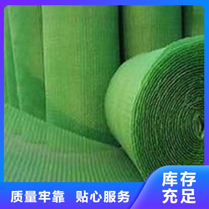 土工布植草格实力才是硬道理