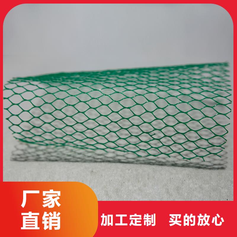 【土工布】三维植被网常年出售