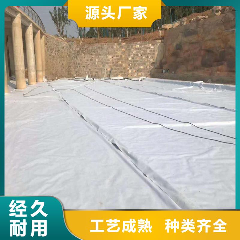 土工布HDPE复合排水板专注生产N年