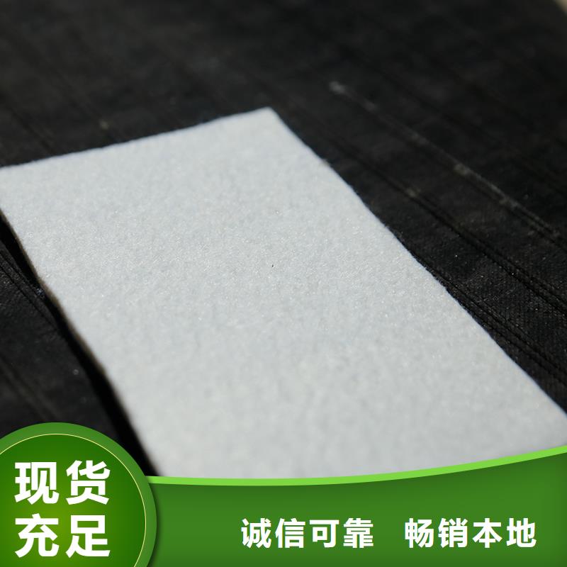 土工布拉筋带现货