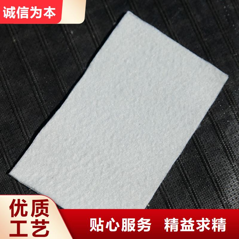 土工布土工格栅高质量高信誉